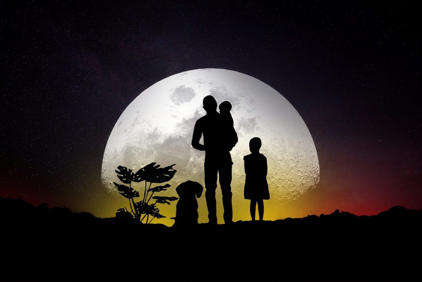 Verbindung von Mensch und Tier in natürlicher Umgebung